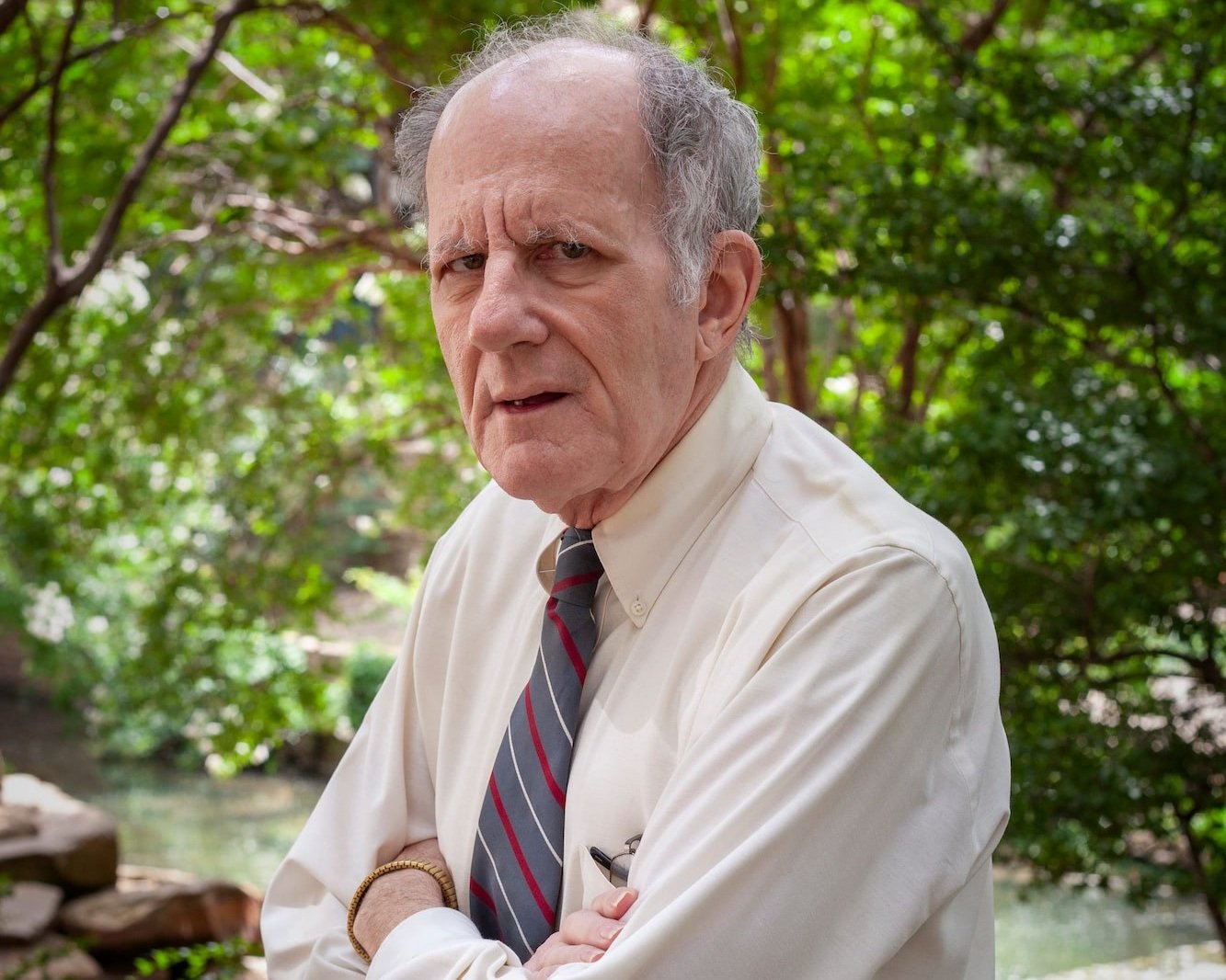 Ray Stevens, CPA