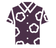 hawaiian hawaiian